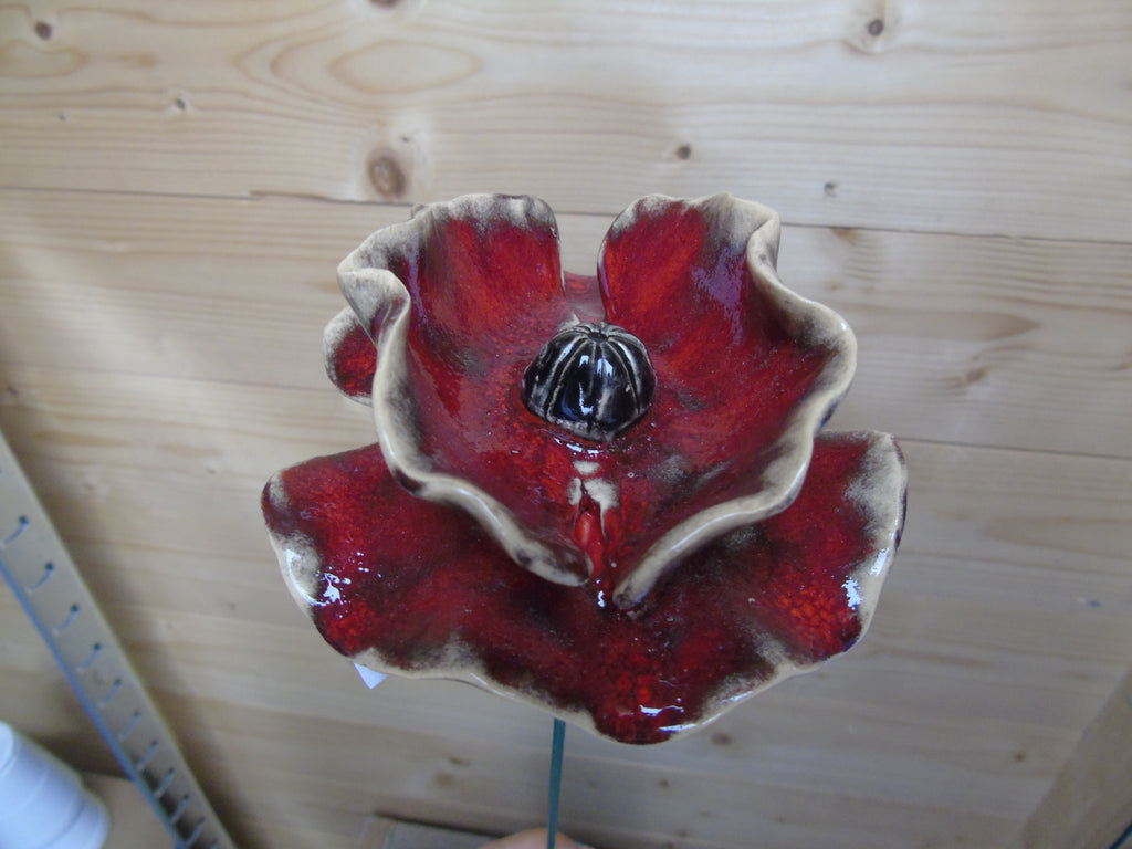 Klaprozen 10 cm