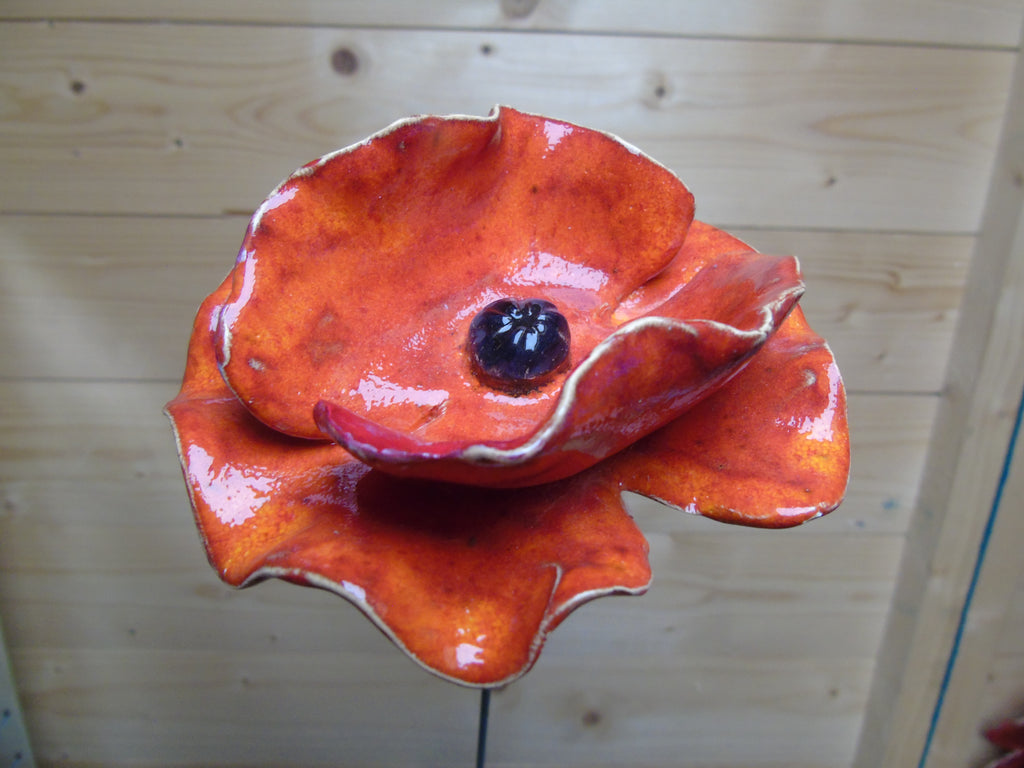 Klaprozen 10 cm