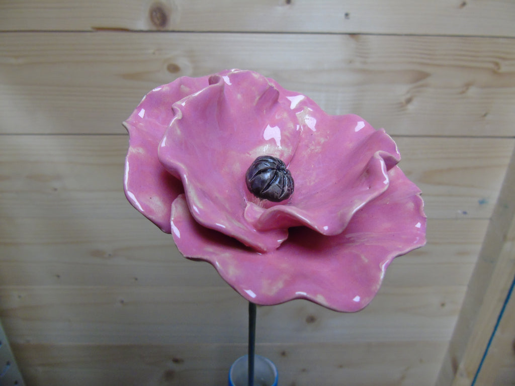Klaprozen 10 cm