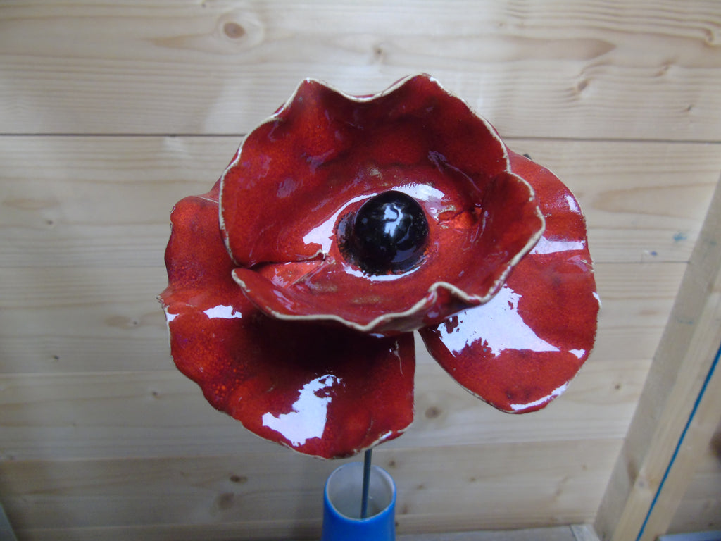 Klaprozen 10 cm