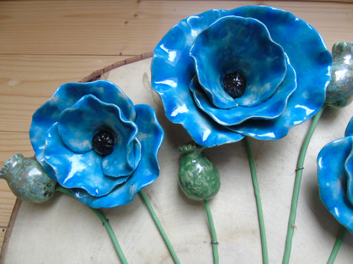 Blauwe klaprozen op houtschijf