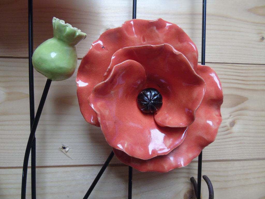 3 klaprozen op metaalrek