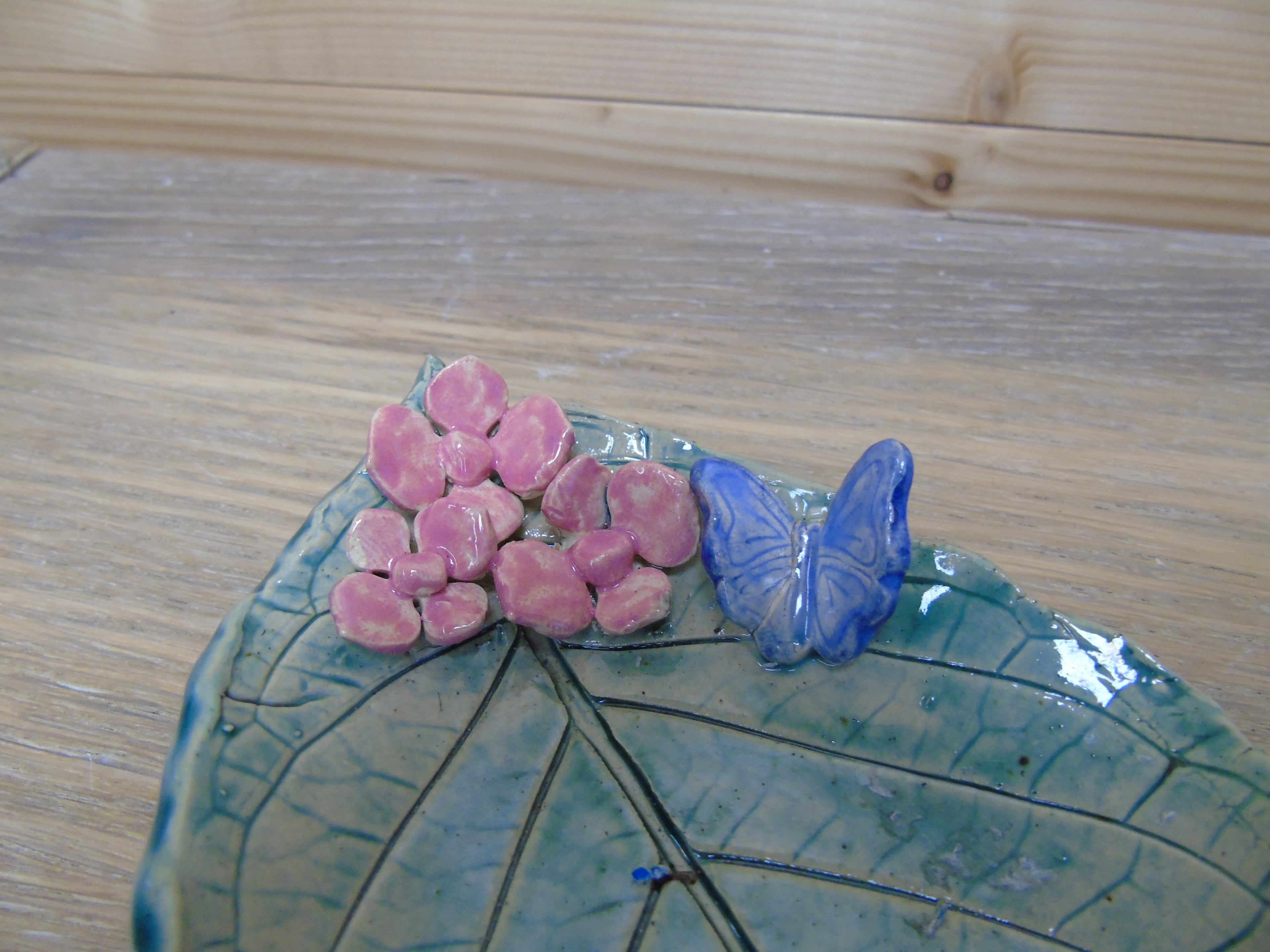 Verschillende bladschalen