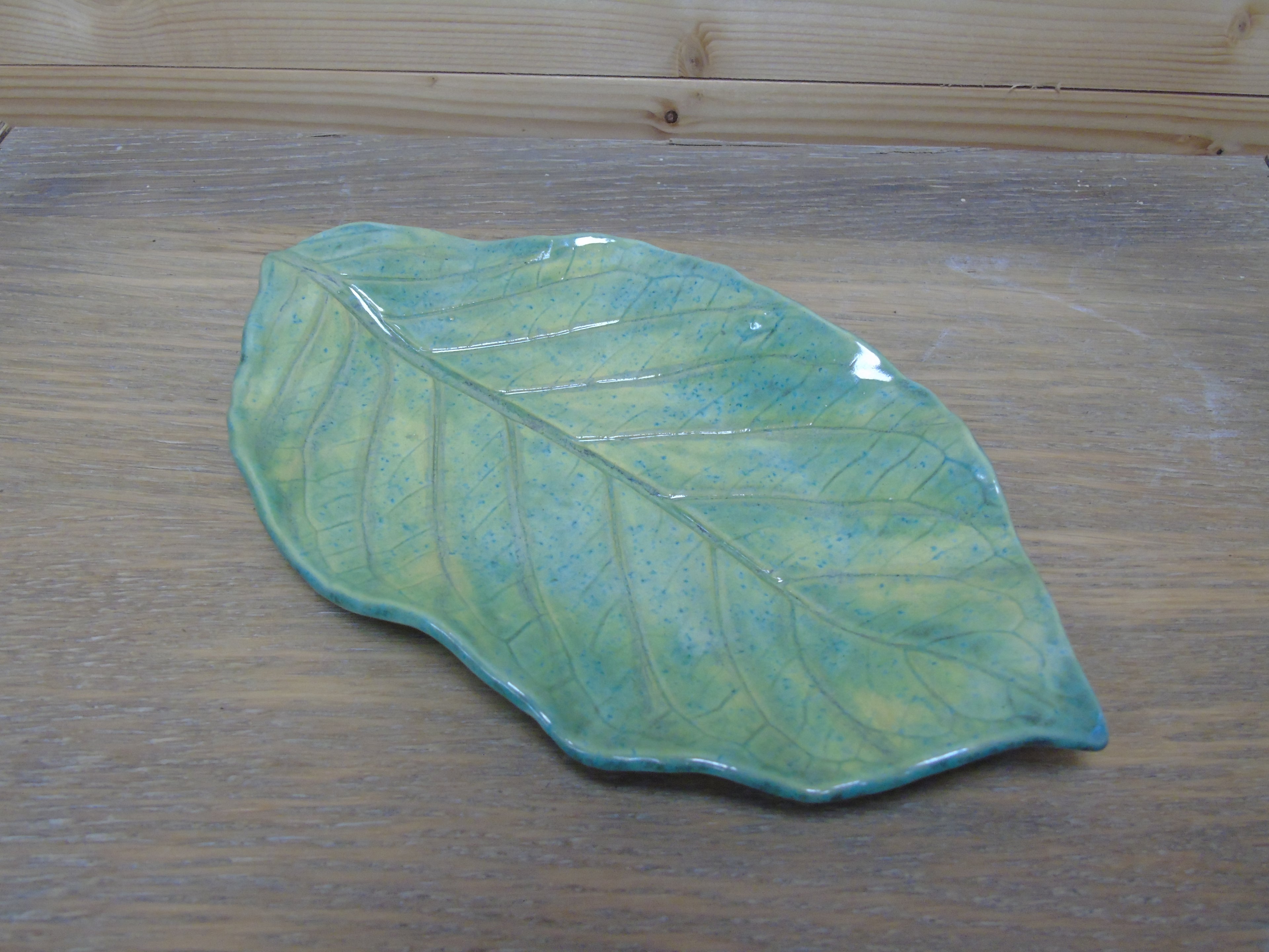 Verschillende bladschalen