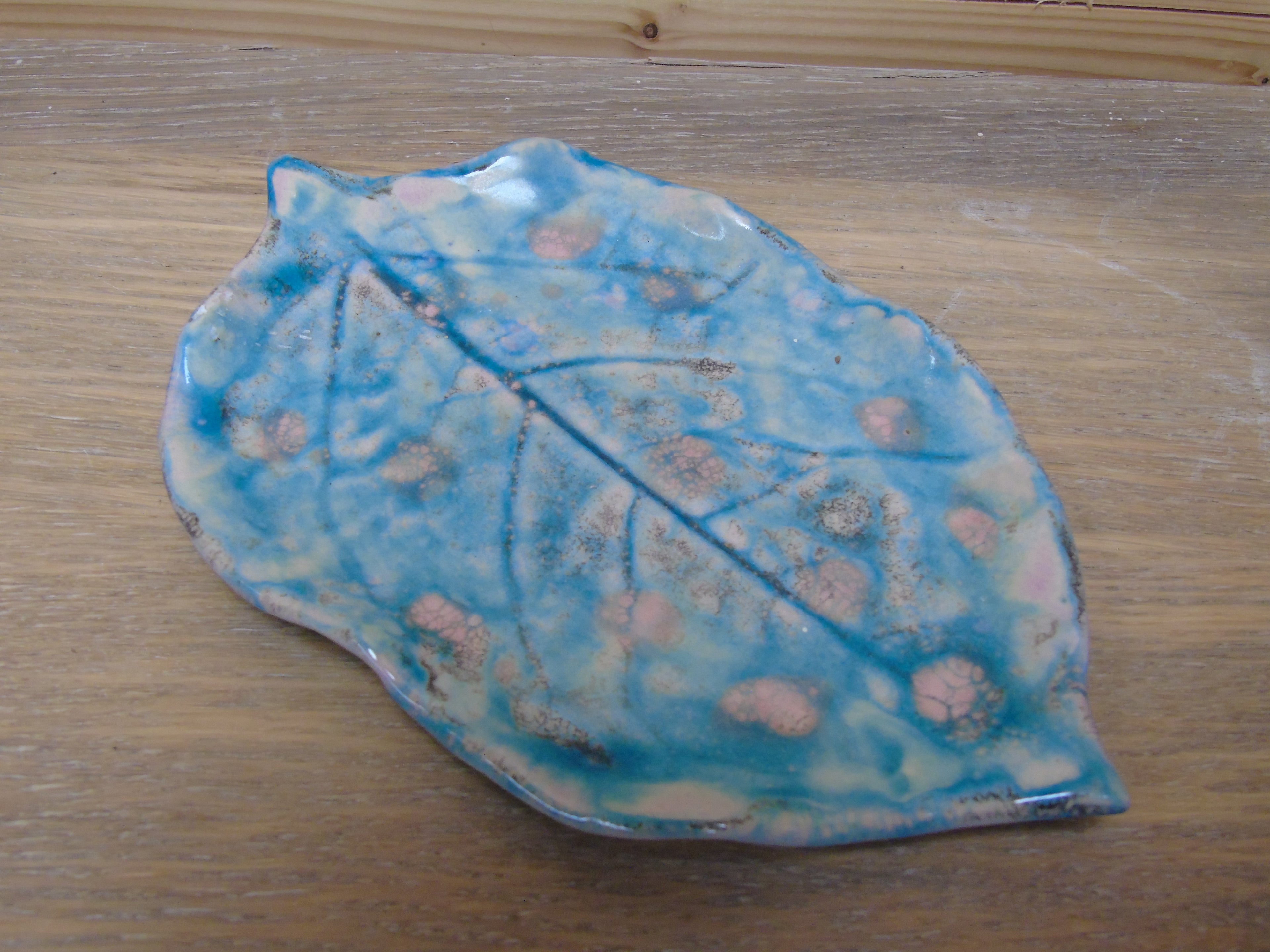 Verschillende bladschalen