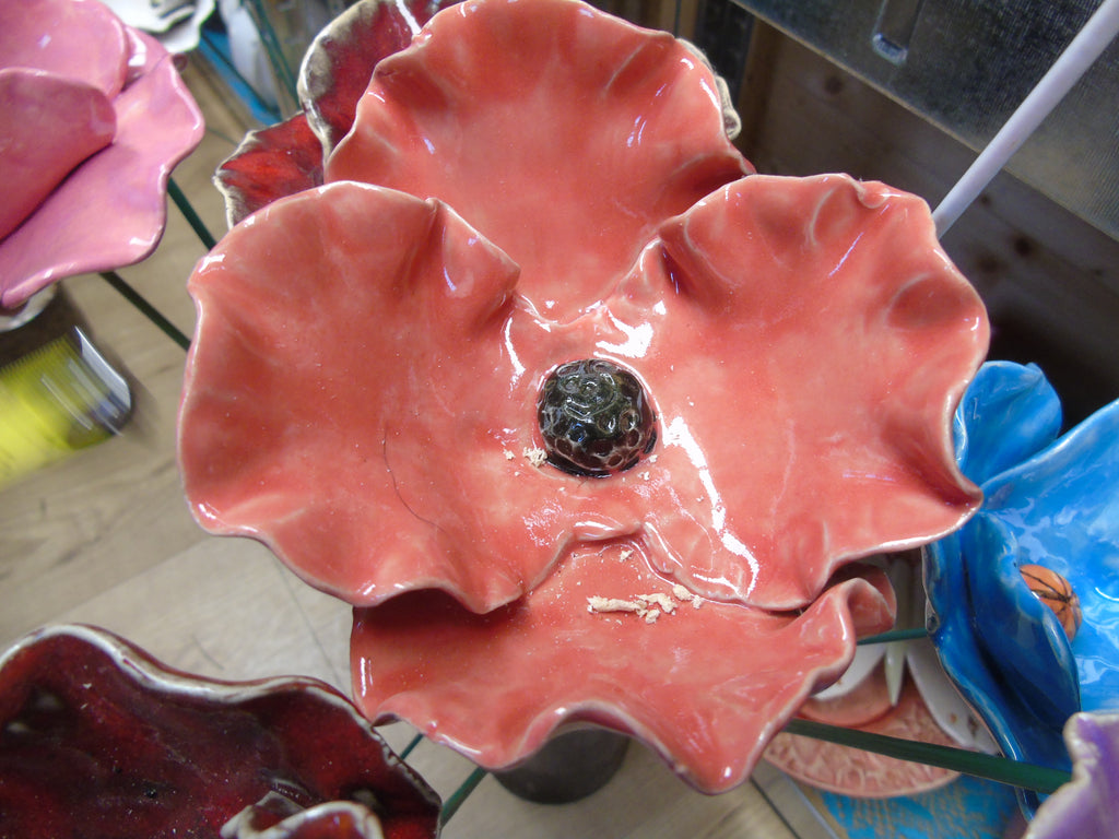 Klaprozen 12 cm